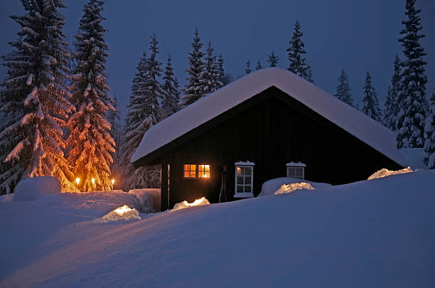 Polar Night in the Norwegian Forest stock photo