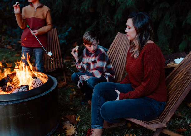 istock Mom roasting marshmallows with her sons 1451935264
