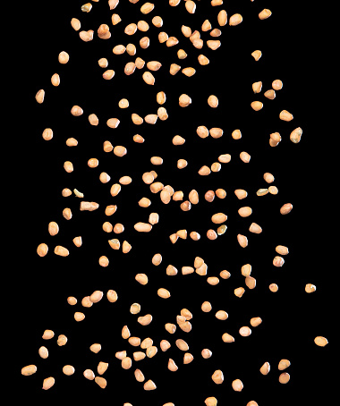 Packing Peanuts Exploding Png Peanut Flying Explosion Brown Grain Peanuts Explode Abstract Cloud Fly ...
