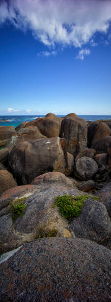 istock Elephant Rocks, vertical panorama, Denmark Western Australia 1451944626