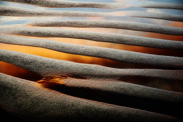 Sand Riffles at Sunset stock photo