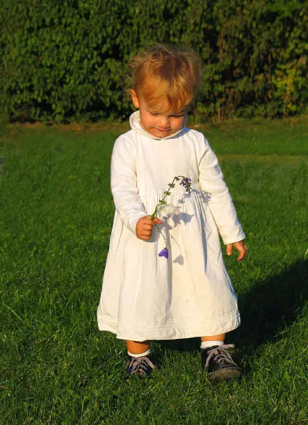 Girlchild in white dress, carefully carrying flowers across a meadow