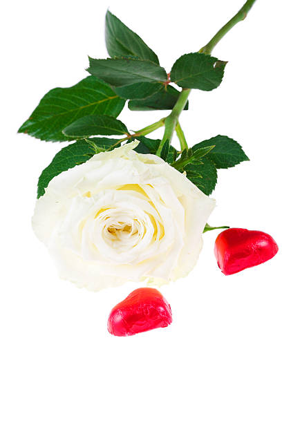 Rosas vermelhas e dois corações (isolado - fotografia de stock