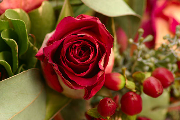 A red rose and five berries complete an eloquent rose and berry bouquet.