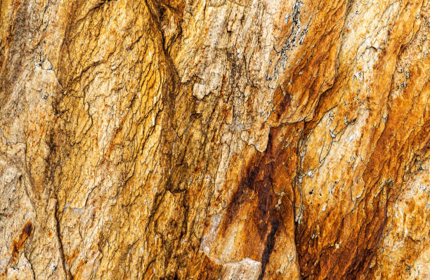 istock Rustic stones, corroded textures, colorful and interesting backgrounds and charming textures, used for web design and abstract backgrounds 1451957365