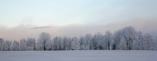 Christmas Scenics stock photo