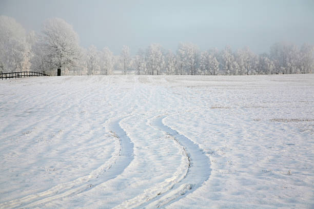 Winter Field at the Countryside stock photo