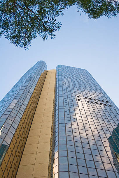 istock Building facade with silhouette leaves 145196427