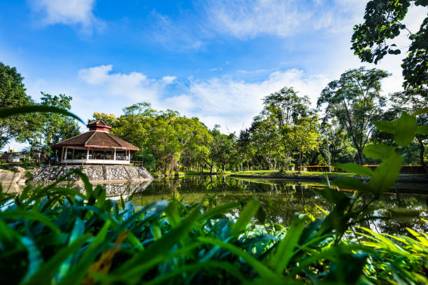 istock Shady Public Park in Chiang Mai Province 1451967221