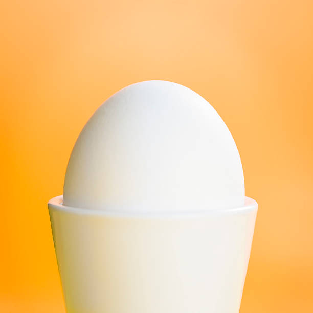 Egg