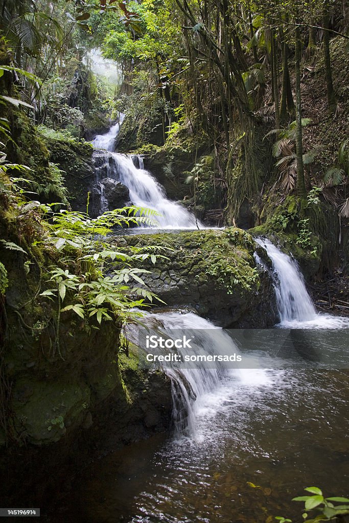 Tropische Wasserfall - Lizenzfrei Big Island - Insel Hawaii Stock-Foto