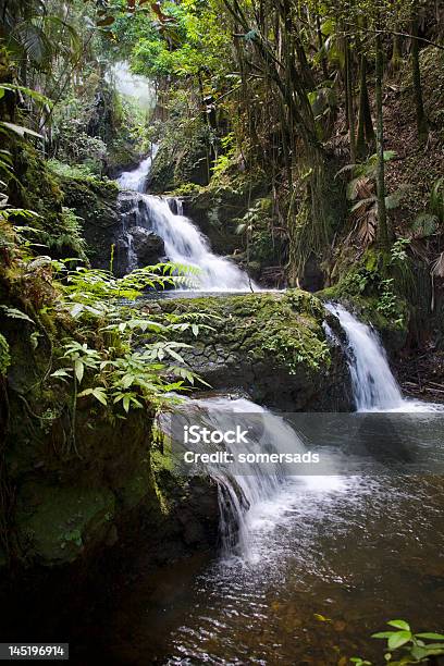 Tropische Wasserfall Stockfoto und mehr Bilder von Big Island - Insel Hawaii - Big Island - Insel Hawaii, Fluss, Fotografie