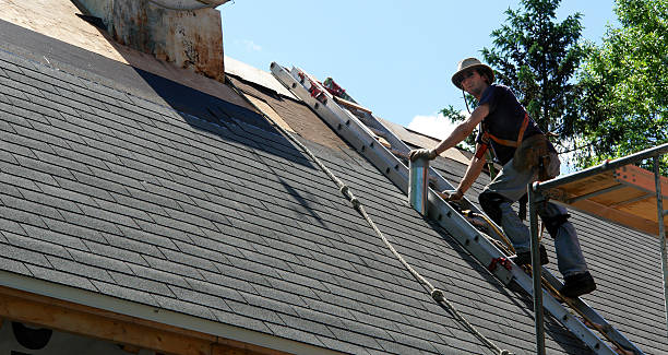 istock Man on a ladder replacing the roof 145196951