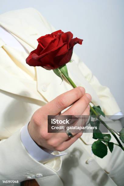 Sposo Dare Rosa - Fotografie stock e altre immagini di Allegro - Allegro, Amore, Anello - Gioiello