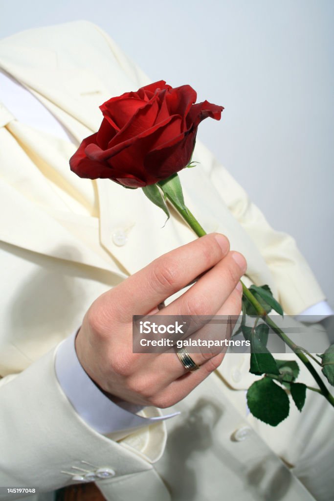 Жених, давая роза - Стоковые фото Just Married - английское словосочетание роялти-фри