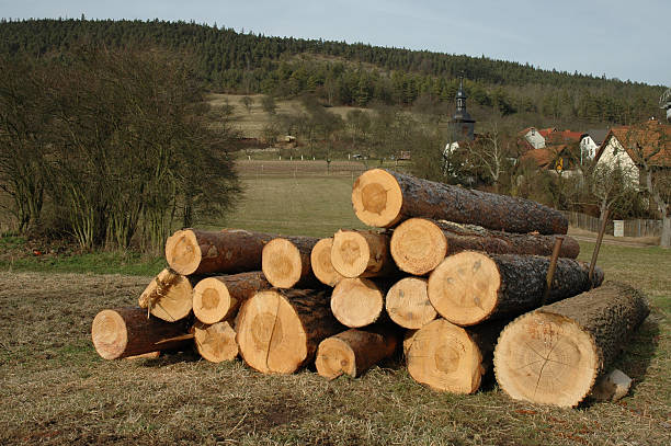 lumber stock photo