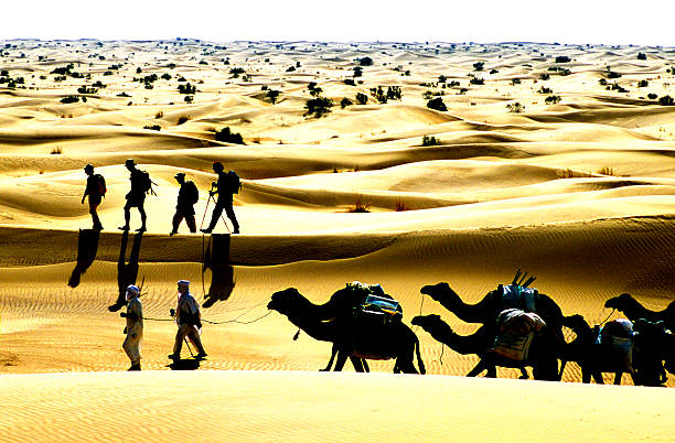 a group of camels in the Sahara desert with dunes and mirages in the distance