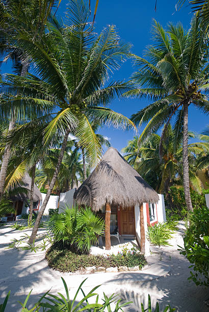 istock Bungalow at a tropical tourist resort 145197596