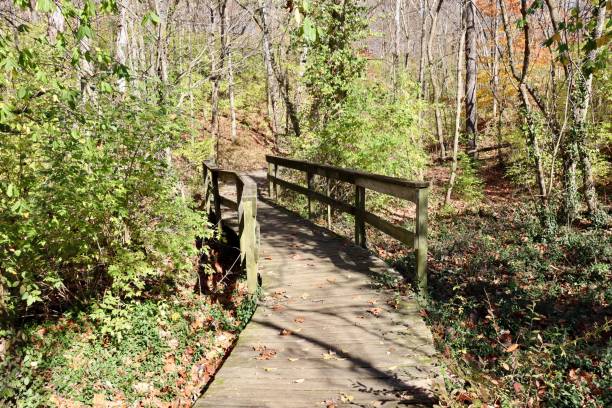 istock Front of the Wood Bridge 1451977526