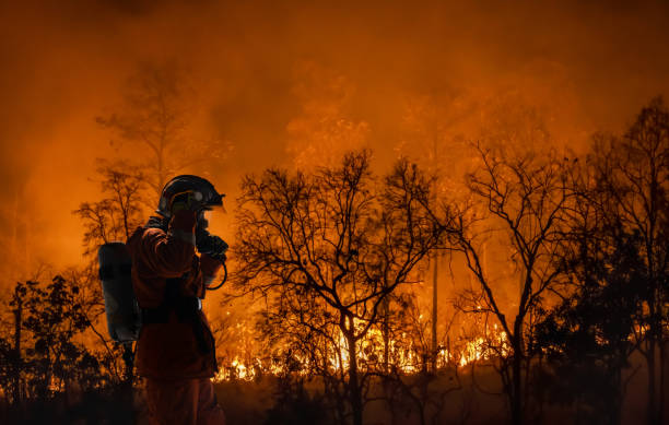 firefighters battle a wildfire because climate change and global warming is a driver of global wildfire trends. - arizona wildlife imagens e fotografias de stock