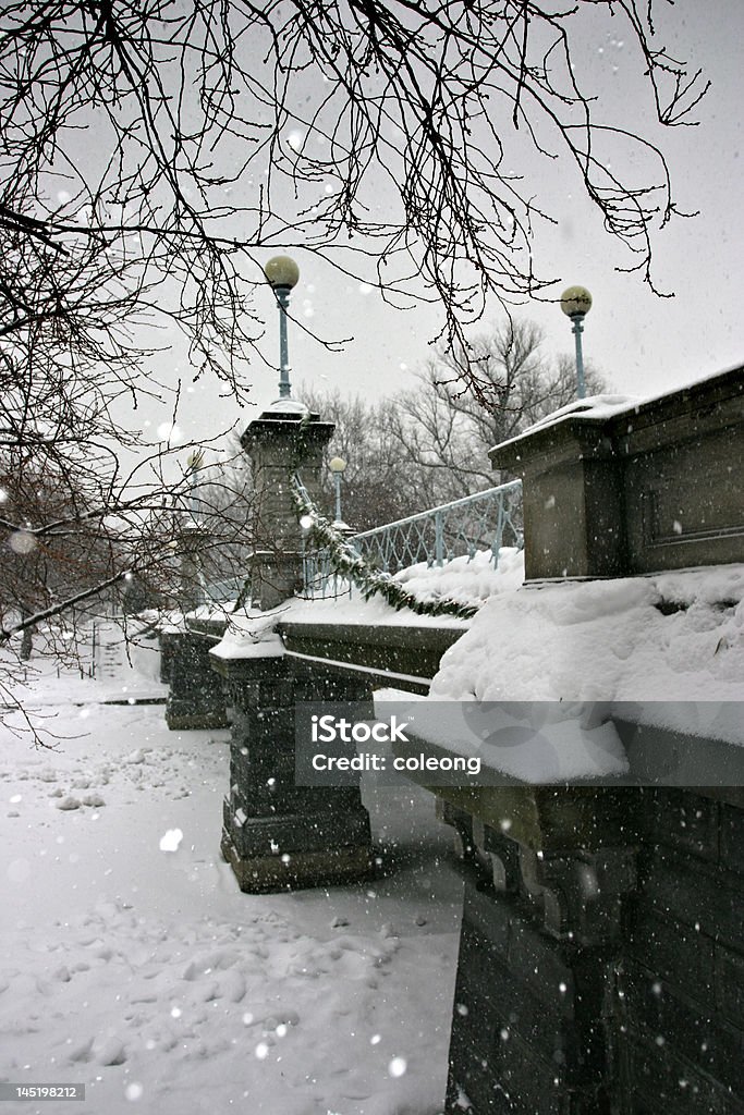 Boston Inverno - Royalty-free Ao Ar Livre Foto de stock