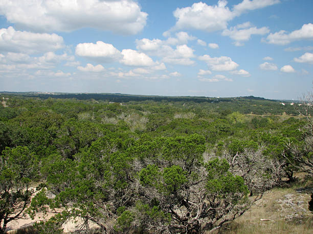 Overlook in Hill Country stock photo