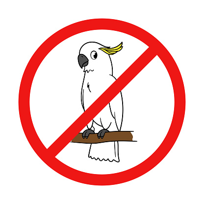 No Cockatoo Sign on White Background