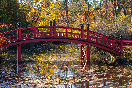 Red bridge in Autumn at Duke Farm, Hillsborough Township, New Jersey, USA