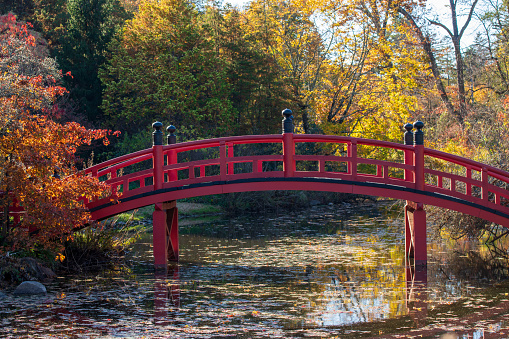 Wooden bridge on the pond  at city  park.