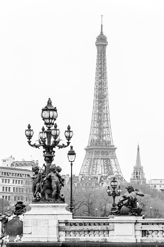 A grayscale vertical view of the Eiffel Tower from Pont Alexandre III Bridge in Paris, France