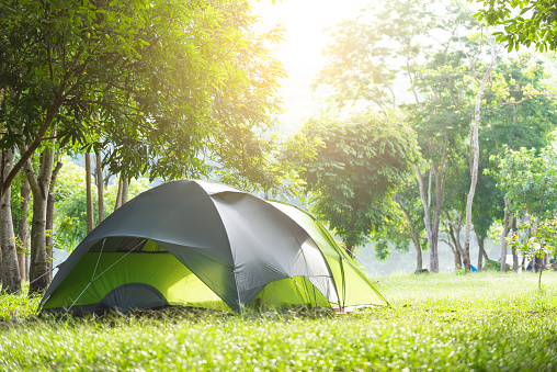 Camping tent in the forest