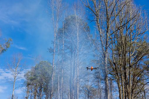 When an ecological disaster occurs, fire services can utilize help of drone to follow fire into forest trees