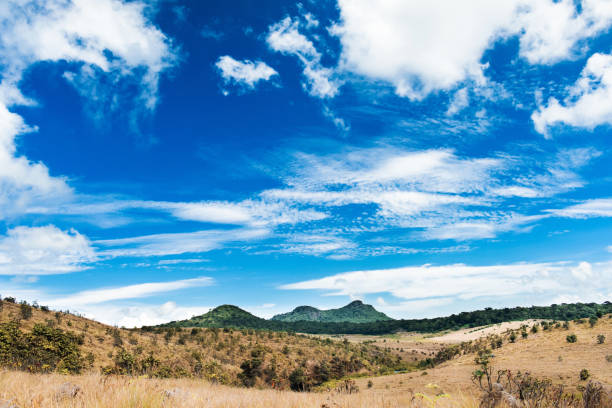 a beautiful landscape