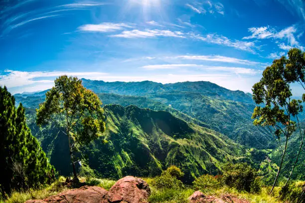 Photo of View from the top of Ella Rock, Sri Lanka