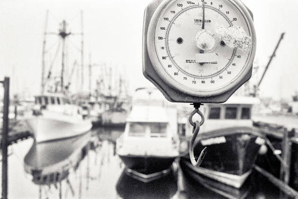 istock Victoria, Vancouver Island 1452022071