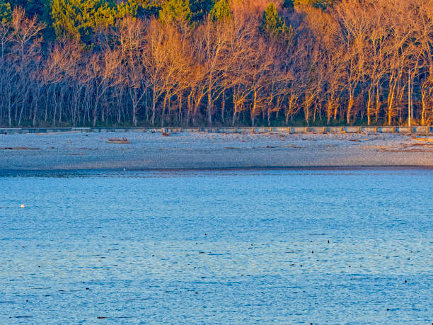 istock Victoria, Vancouver Island 1452022085