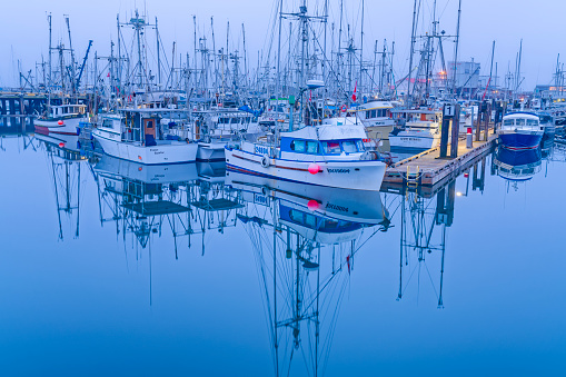 Fishing boats at sunrise docked in French Creek on Vancouver Island, British Columbia