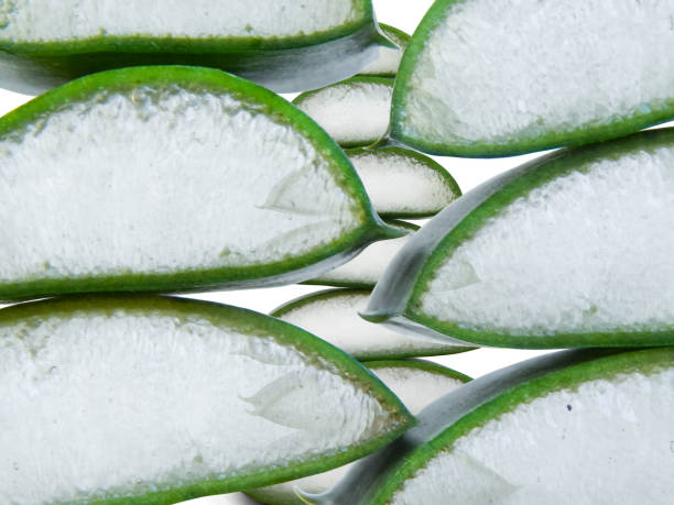 istock Fresh pieces of aloe. 1452026758