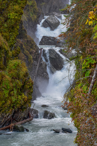 Salmon Gultch, located in Valdez, Alaska, provides electricity for many. As the water makes its way down it helps create electricity. This area is also known for all the salmon that return each year. On this day the rushing water created a scenic view. Did
