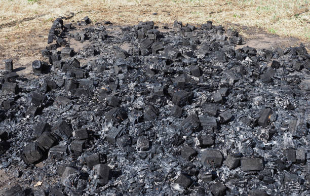 istock charcoal ashes from wood combustion 1452050984