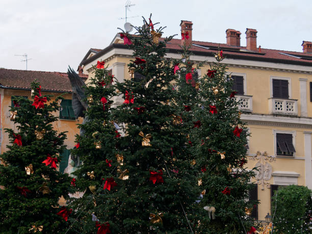 istock christmas tree, gifts in my town 1452066642