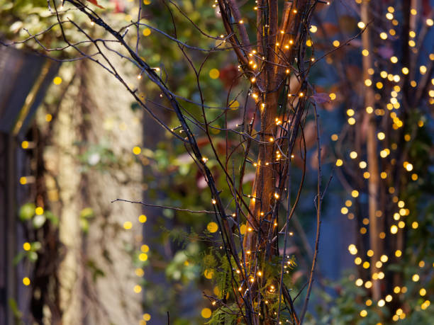 istock christmas tree, gifts in my town 1452066713