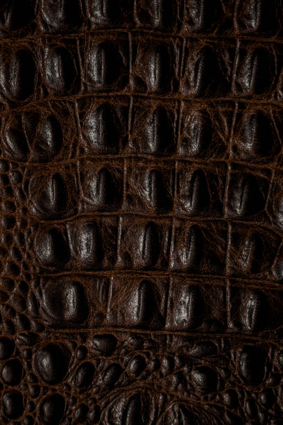 istock crocodile skin as background close up 1452071591