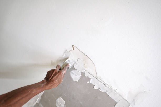 istock Repair water damaged drywall ceiling. 1452074530