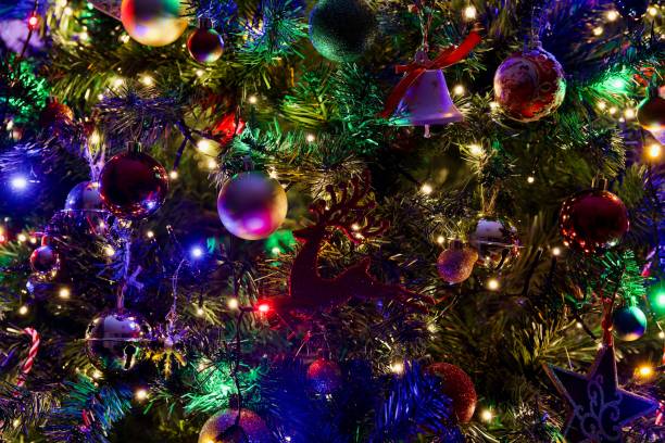 istock Reindeer silhouette, lit up Christmas Tree, Queensland 1452080739