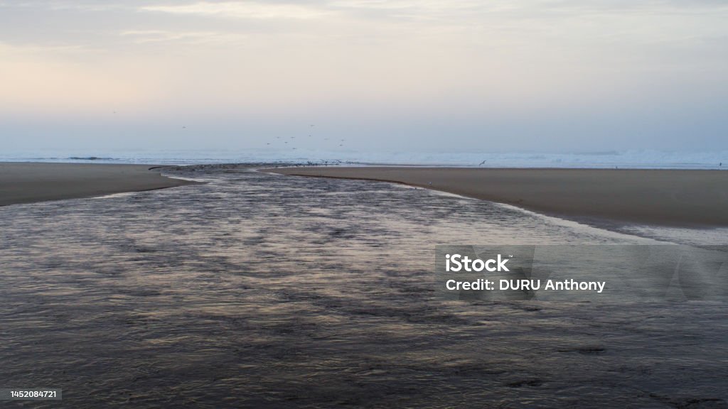 Plage de Moliets-et-Mâa Balade sur la plage de Moliets, le long du Courant de Huchet Animal Stock Photo