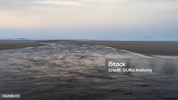 Plage De Molietsetmâa Stock Photo - Download Image Now - Animal, Aquitaine, Atlantic Ocean