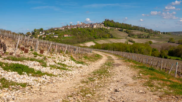 The old city of Sancerre seen from a trail going through the Sancerre vineyards stock photo