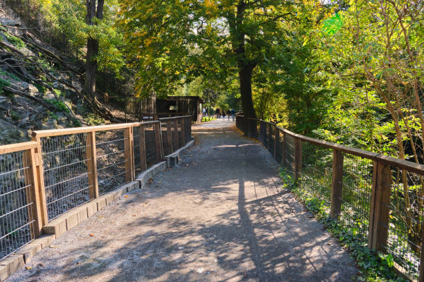 istock path way alley forward in beautiful autumn Footpath fenced off 1452106065