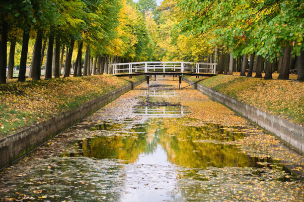 wood bridge Beautiful autumn scene in park river with fallen leaves stock photo